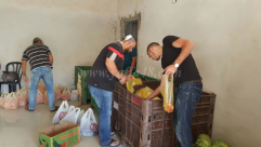  بالفيديو: الحركة الاسلامية بالرملة توزع الطرود الغذائية على العائلات المستورة 